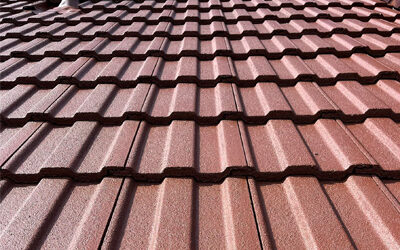 Does Your Property Need Roof Cleaning? 7 Signs Homeowners in Edinburgh, Glasgow and Across Scotland Shouldn’t Ignore